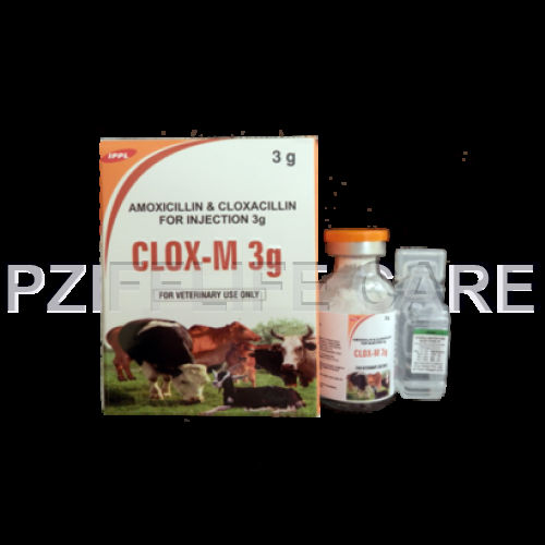 Liquid Amoxicillin With Cloxacillin For Injection Clox M 3gm