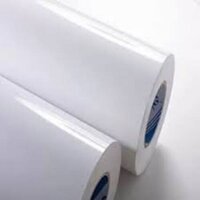 PE Coated Maplitho Paper with Glossy Appearance