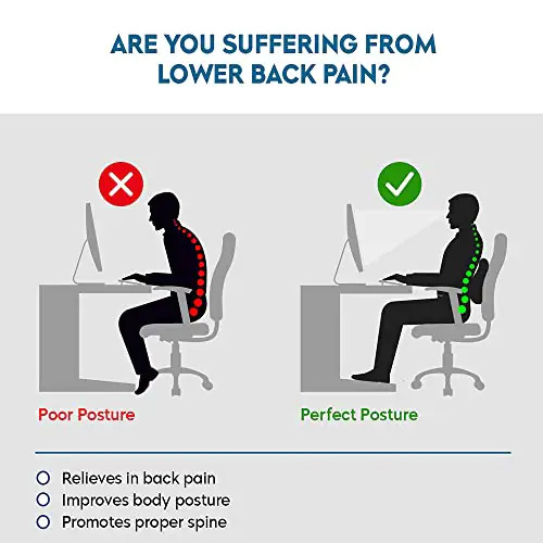 Back Support Car Pillow