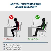 Back Support Car Pillow