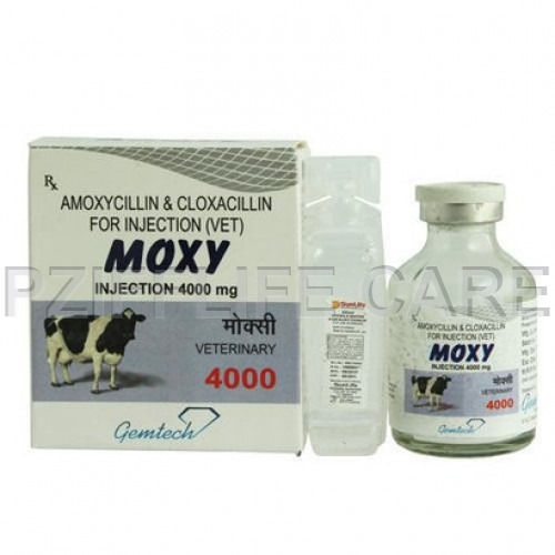 Liquid Ampicillin And Cloxacillin For Injection Moxy 4000mg