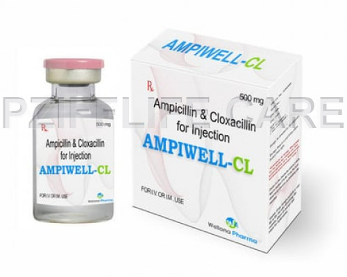 Liquid Ampicillin And Cloxacillin For Injection Ampiwell Cl At Best Price In Surat Pziff Life Care