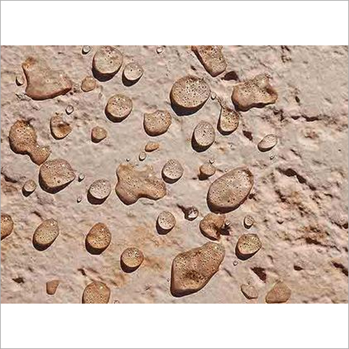 ImperGuard Color Transparent Concrete Sealer  Water Repellent Coating Hardener UV Resistant 25Yr Color