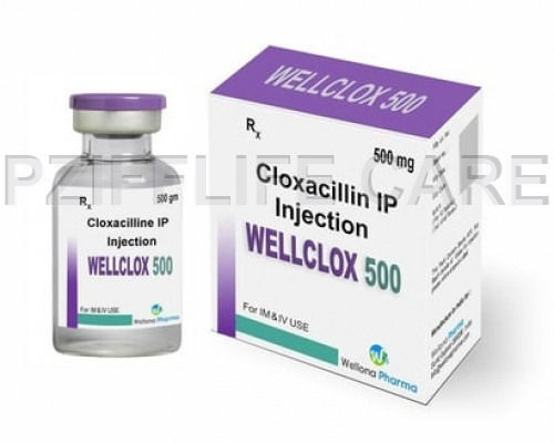 Liquid Cloxacillin Injection Wellclox 500mg