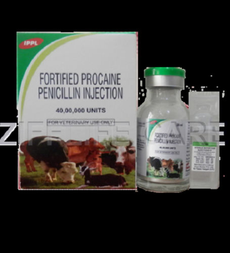 Liquid Fortified Procaine Penicillin For Injection IPPL