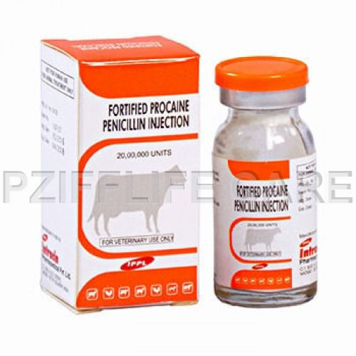 Liquid Fortified Procaine Penicillin For Inj Ippl