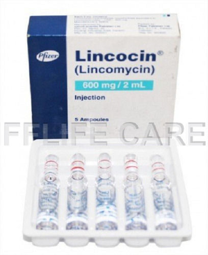 Liquid Lincomycin Injection LINCOCIN 600MG/2ML