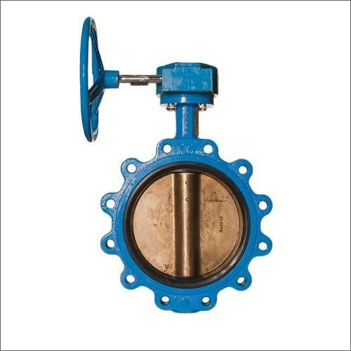 SS Gear Operated Blue Butterfly Valve