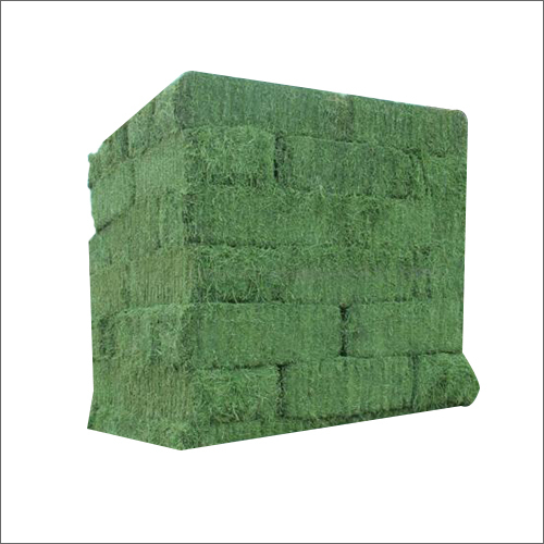 2f Timothy Alfalfa Hay