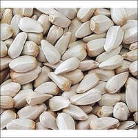 Kusum seeds