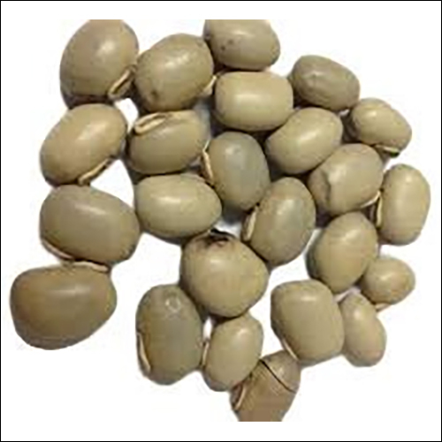 Kanch Beej - Organic Brown Herb Seeds | Versatile Variety for Sustainable Cultivation and Gardening