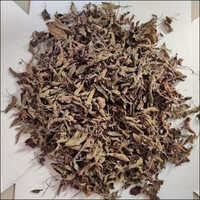 Tulsi leaves