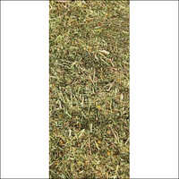 Ashwagandha leaf