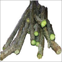 Neem giloy