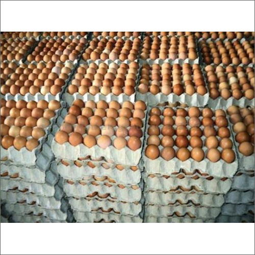 Fresh Brown Table Eggs - Shelf Life: 7 Days