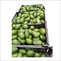 Organic Fresh Avocado - Color: Green