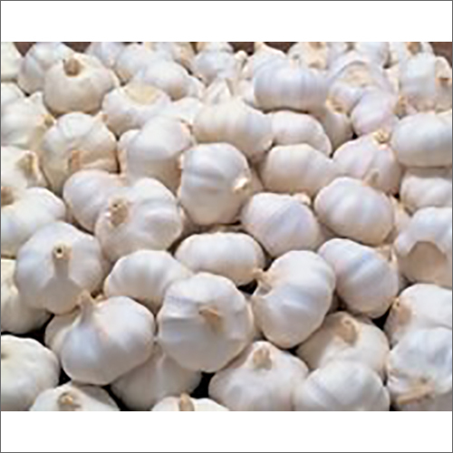 Natural Fresh Garlic