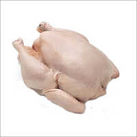 Frozen Whole Chicken