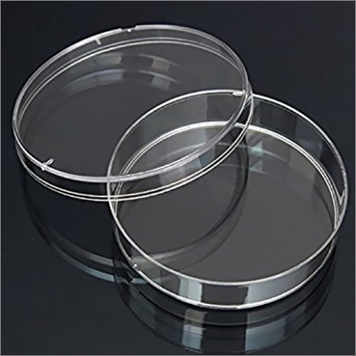 Petri Dish