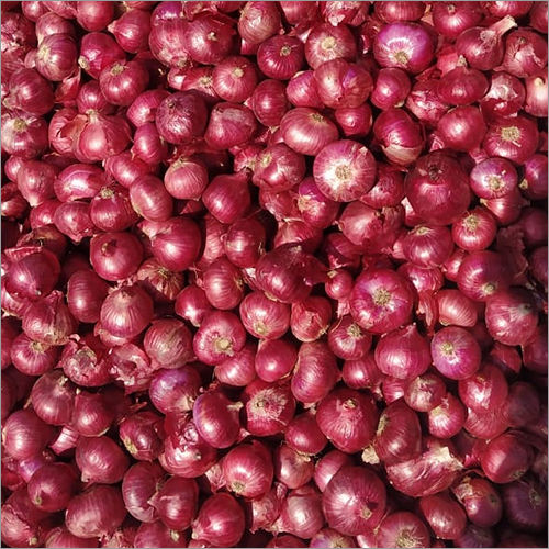 Round Fresh Red Onion