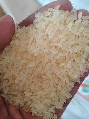 Non Basmati Rice