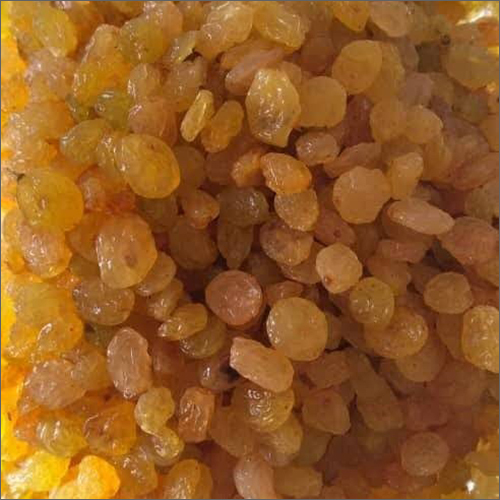 Golden Raisins