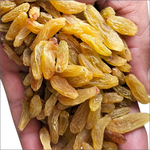 Common Green Golden Raisins