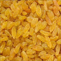 Common Green Yellow Raisins
