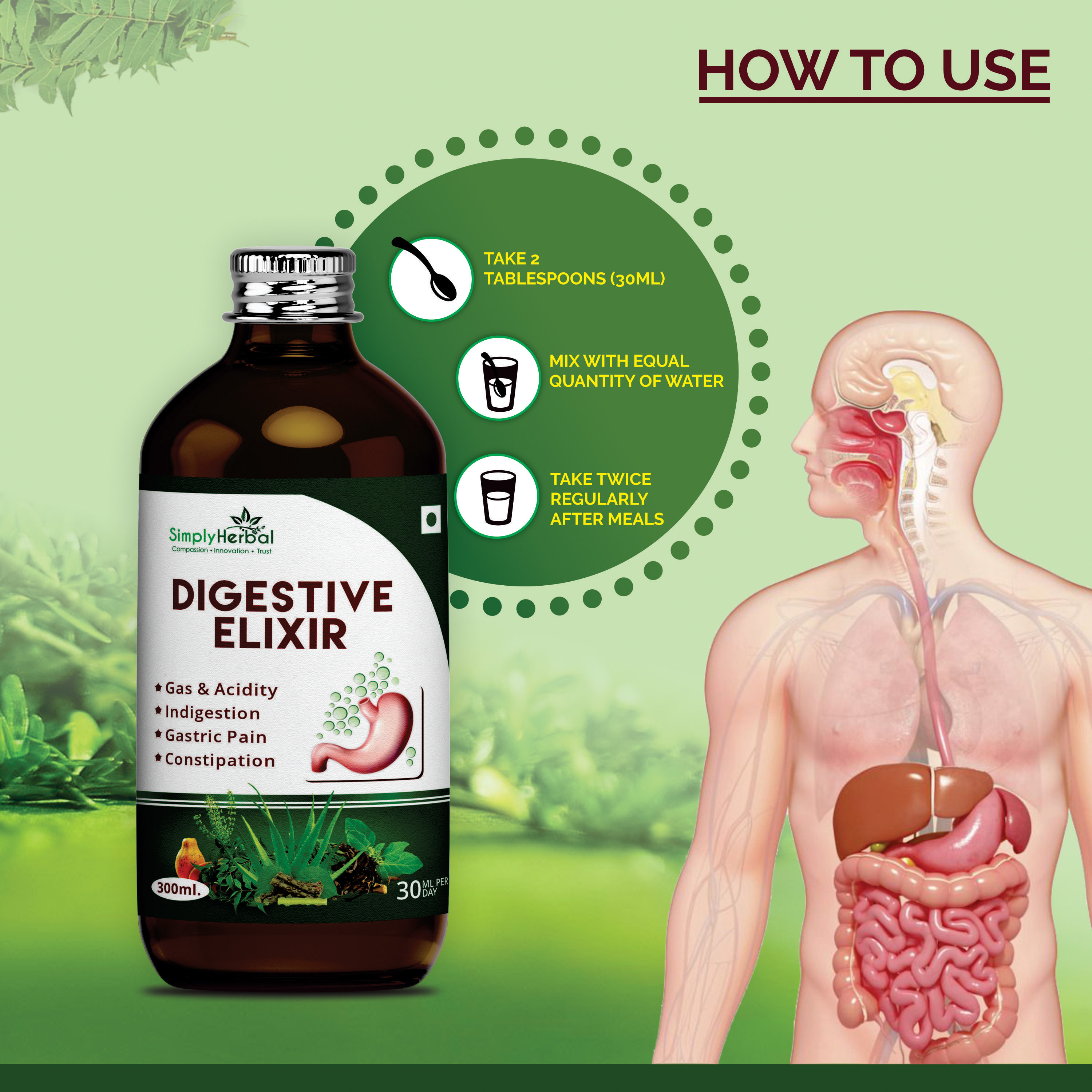 Simply Herbal Ayurvedic Digestive Elixir Syrup