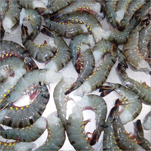 Sea Food Hlbt Shrimps