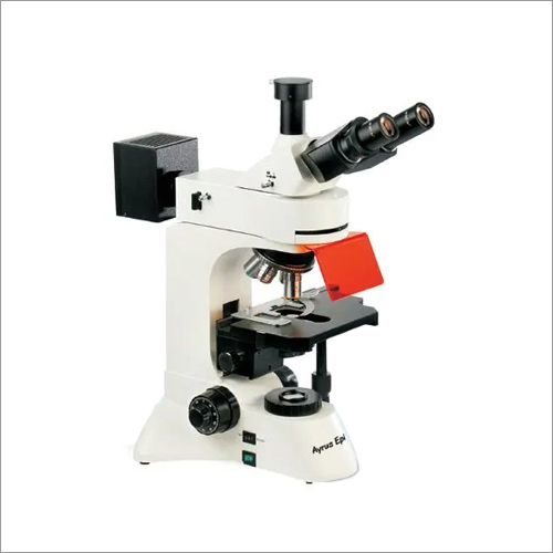 White-Black Led Epifluorescence Technology Microscope