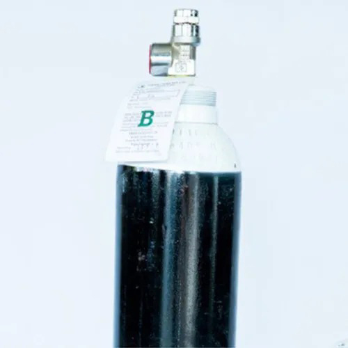 Medical Oxygen Cylinder B Type By Dolphin Fire Services Pvt Ltd