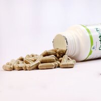 Guduchi Capsules