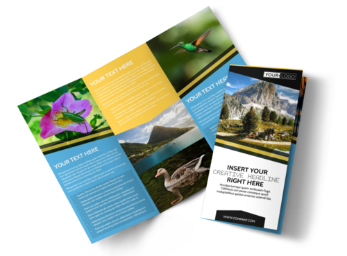 Multicolor Leaflets And Brochure