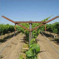 Mild Steel Agriculture Grapes Open Gable