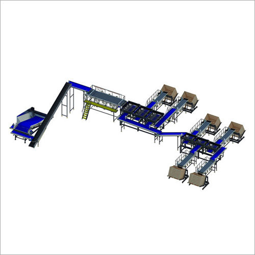 Seed Potato Processing Line