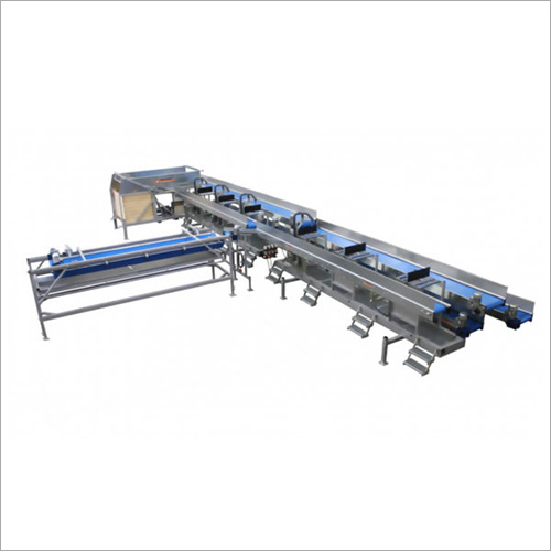 Cabbage Processing Line C6 Series