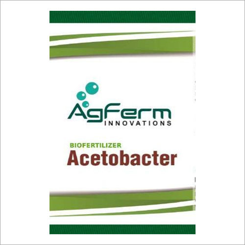 Agferm Acetobacter Biofertilizer