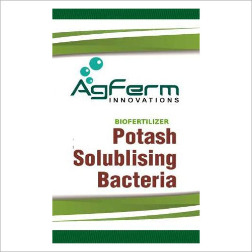 Potash Solubilizing Bacteria Biofertilizer