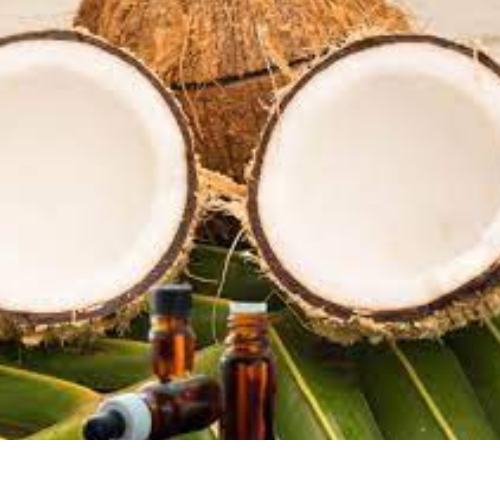Coconut Fragrance