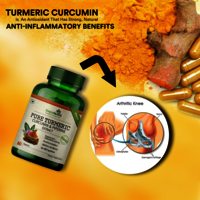 Simply Herbal Turmeric Curcumin Extract Capsules 800MG