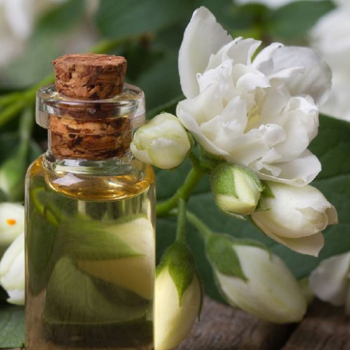 Jasmine Fragrance
