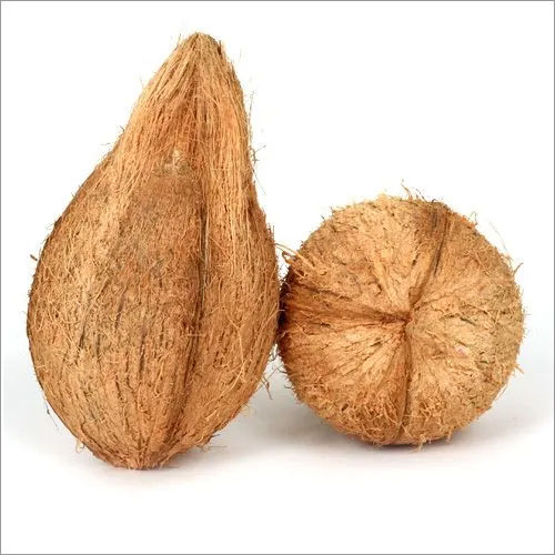 Rich Brown Semi Husked Coconut