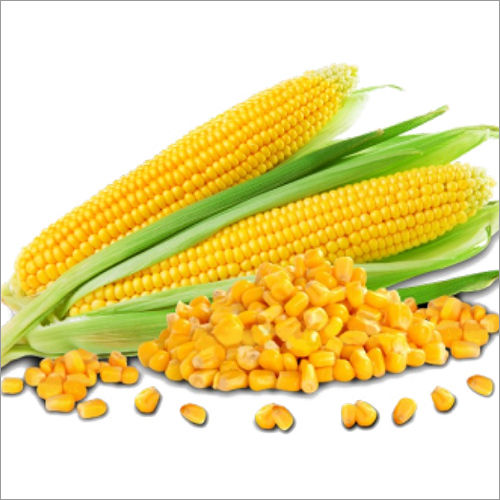 Natural Corn