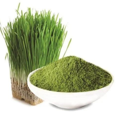 Barley Grass Powder