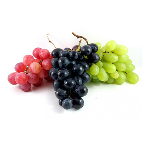 Common Fresh Grapes