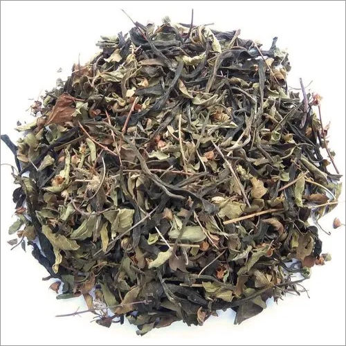 Green Tulsi Tea Leaf Antioxidants