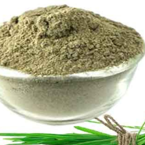 Bermuda Grass Powder
