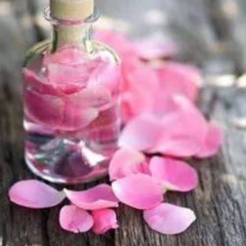 Rose Fragrance
