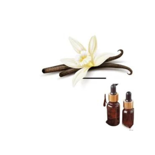 Vanilla Fragrance